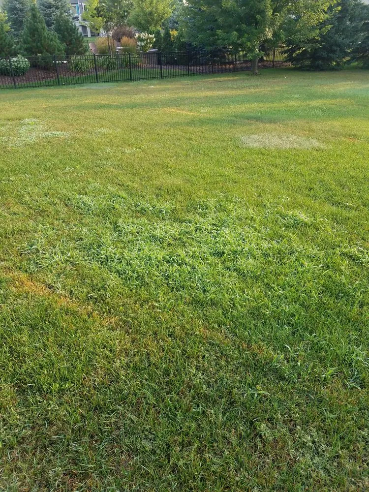 Reliable outdoor landscaping for beautiful yards across Woodbury, MN - Hansen's Lawn Care