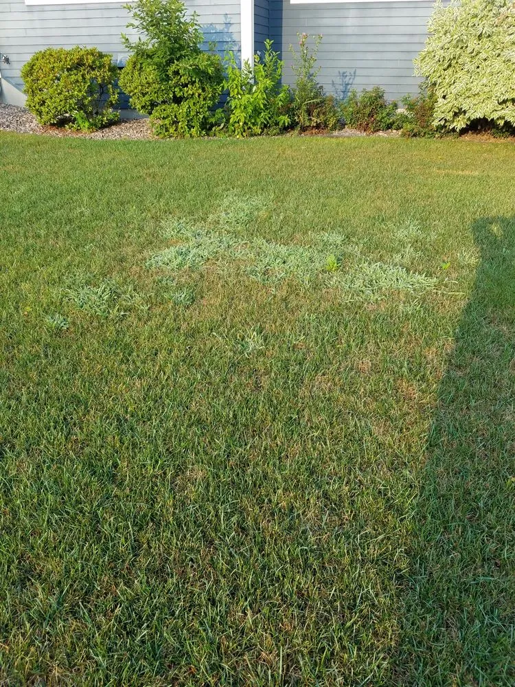 Trusted yard maintenance in Woodbury, MN by Hansen's Lawn Care