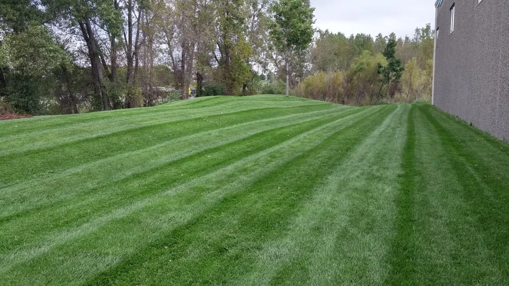 Local lawn mowing service in Woodbury, MN - Hansen's Lawn Care