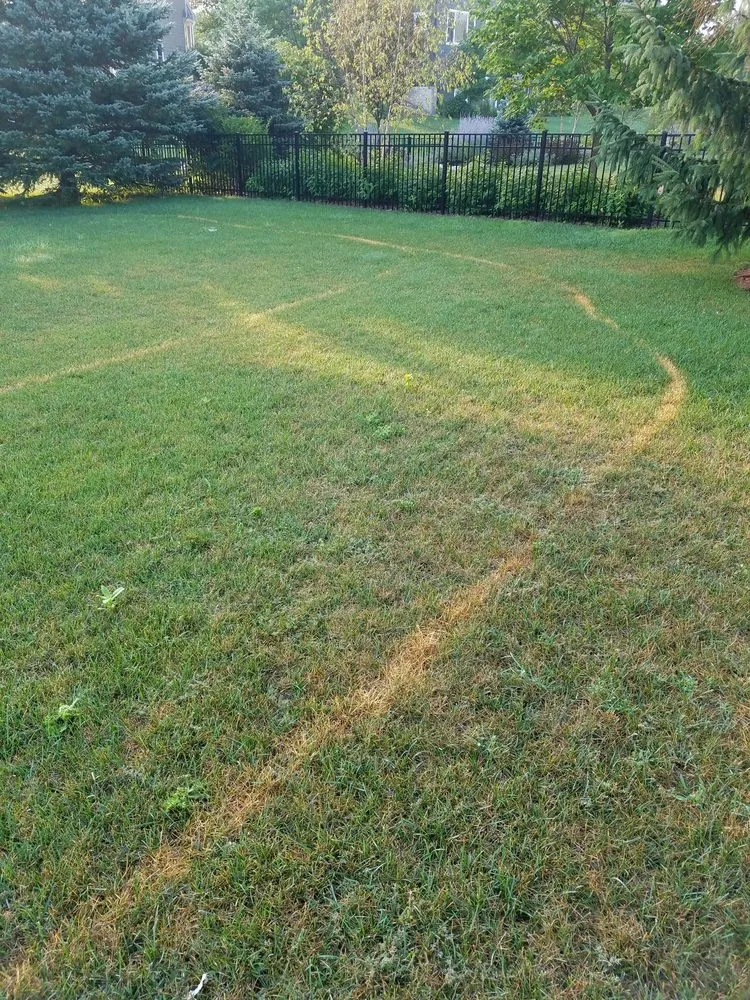 Professional lawn mowing service for outdoor upgrades across Woodbury, MN - Hansen's Lawn Care