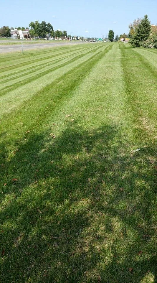 Top-rated landscape installation in Eugene, OR - Hansen's Lawn Maintenance