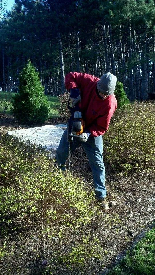 Trusted yard maintenance experts serving Eugene, OR - Hansen's Lawn Maintenance