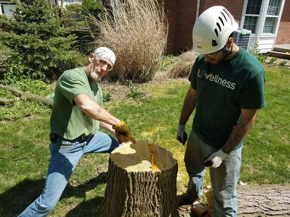Reliable outdoor landscaping for outdoor upgrades across Perrysburg, OH - Hansen's Tree & Crane Service