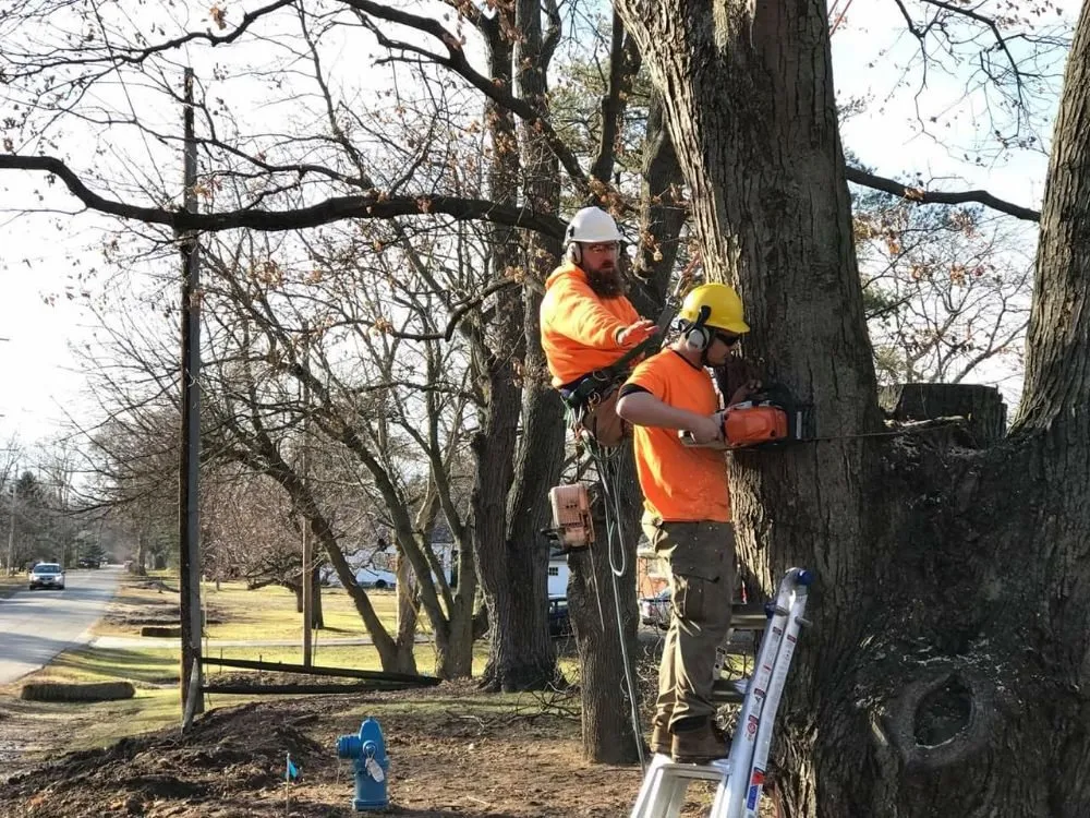 Expert residential landscaping experts serving Perrysburg, OH - Hansen's Tree & Crane Service