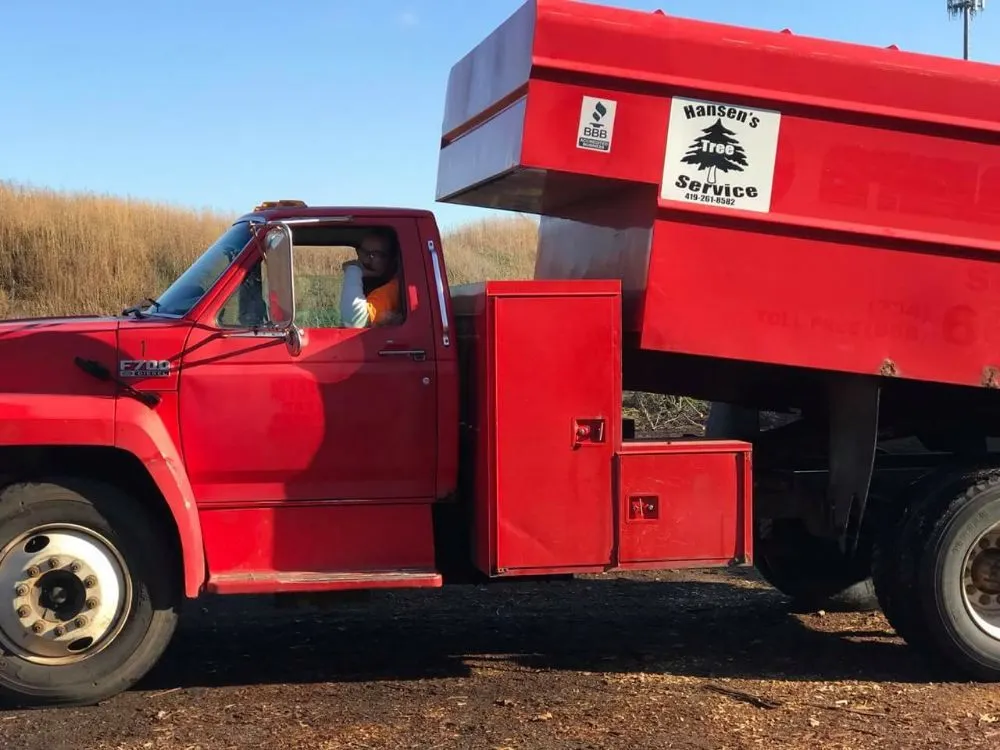 Expert residential landscaping for homes in Perrysburg, OH by Hansen's Tree & Crane Service