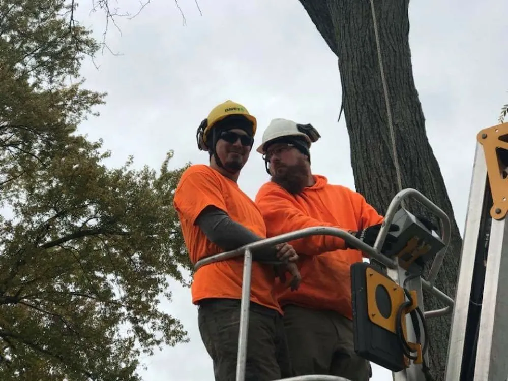 Local lawn care service experts serving Perrysburg, OH - Hansen's Tree & Crane Service