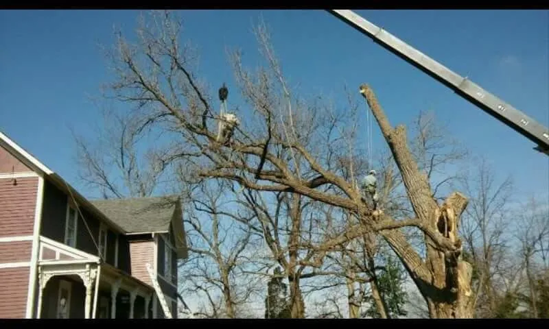 Affordable landscape installation experts serving Perrysburg, OH - Hansen's Tree & Crane Service