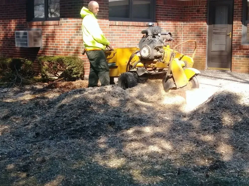 Affordable yard cleanup service for homes in Perrysburg, OH by Hansen's Tree & Crane Service