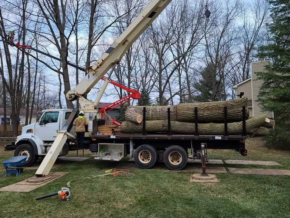 Top-rated outdoor landscaping in Perrysburg, OH - Hansen's Tree & Crane Service