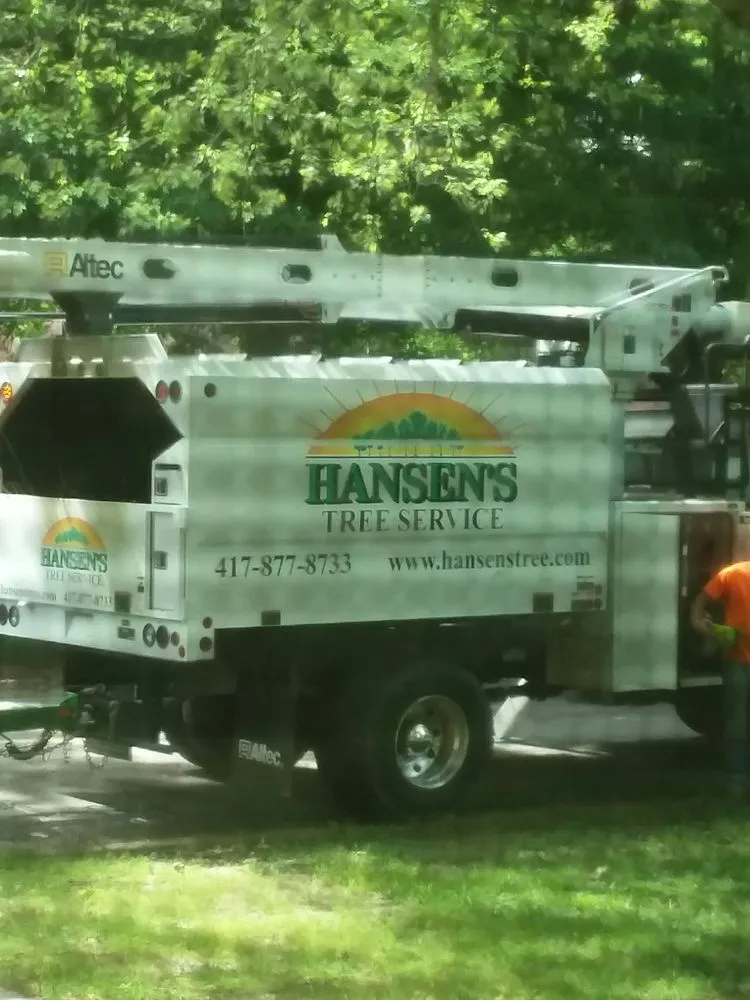 Top-rated landscape design experts serving Reeds Spring, MO - Hansen's Tree Service - Springfield, MO / Branson, MO