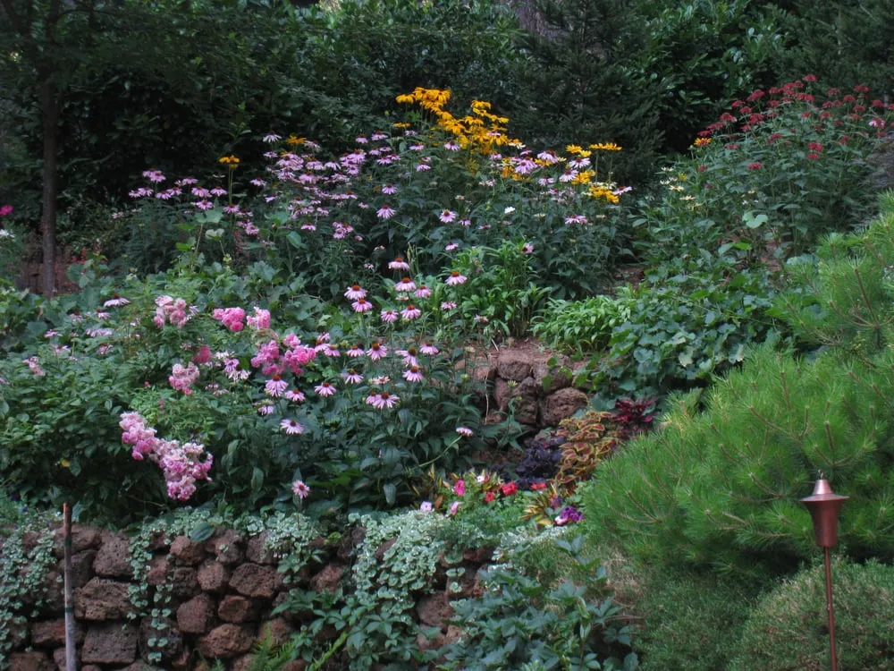 Custom residential landscaping in Chico, CA - Hanson & Hanson Landscape Consultants