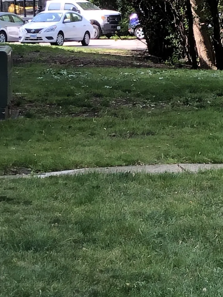 Affordable lawn care service in Big Rock, IL by Hanson Landscape