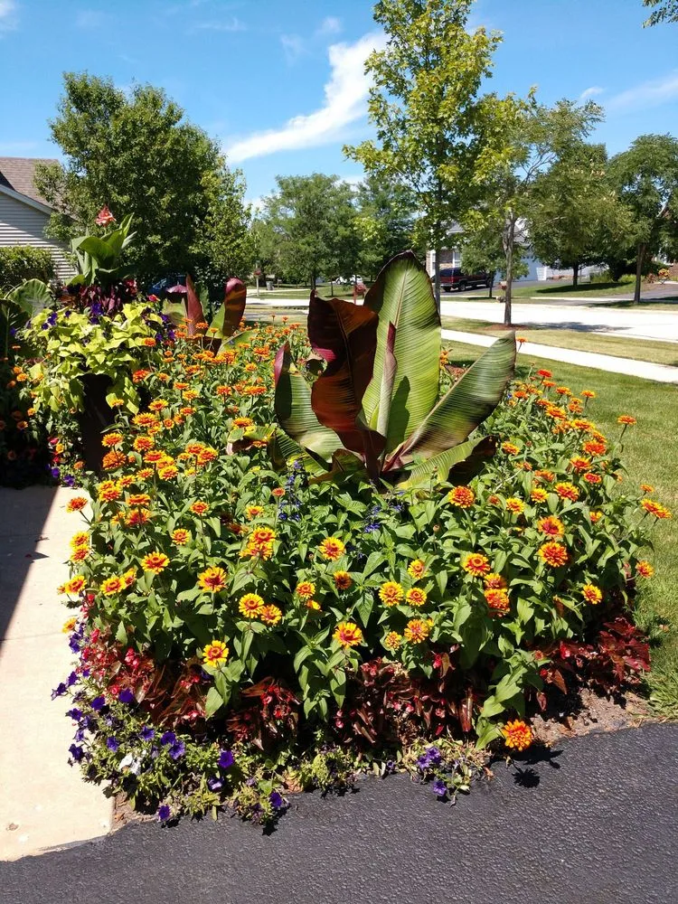 Professional yard cleanup service with custom design across Big Rock, IL - Hanson Landscape