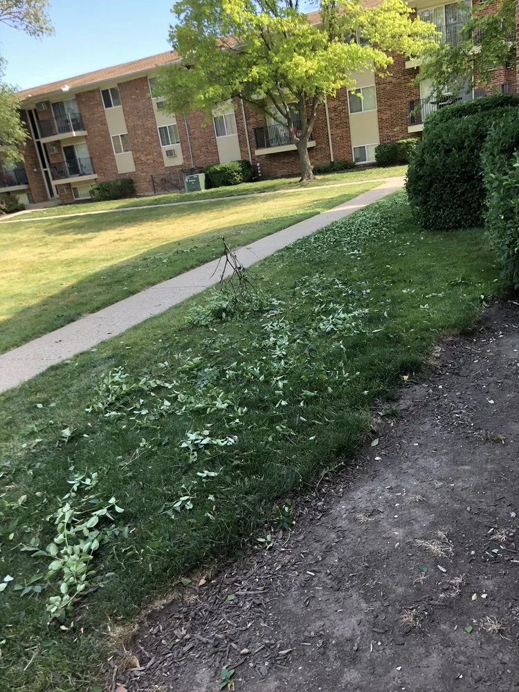 Local lawn care service experts serving Big Rock, IL - Hanson Landscape