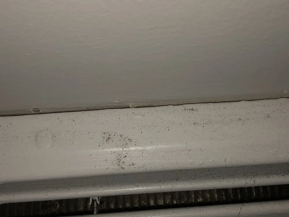 Reliable yard maintenance in Big Rock, IL by Hanson Landscape