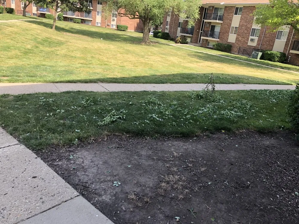 Top-rated lawn mowing service in Big Rock, IL - Hanson Landscape