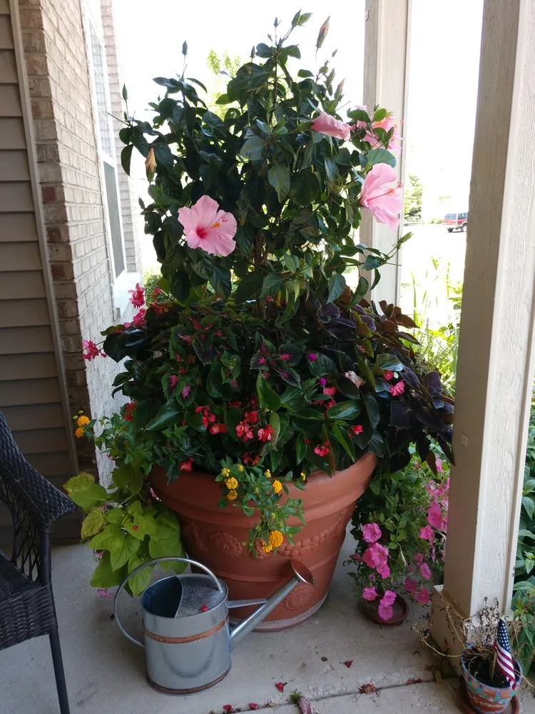 Professional outdoor landscaping for year-round maintenance across Big Rock, IL - Hanson Landscape