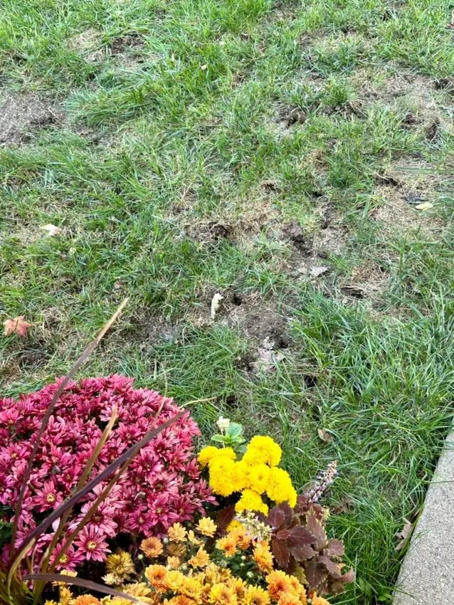 Expert garden landscaping for residential properties across Centralia, IL - Hanson's Lawn Care