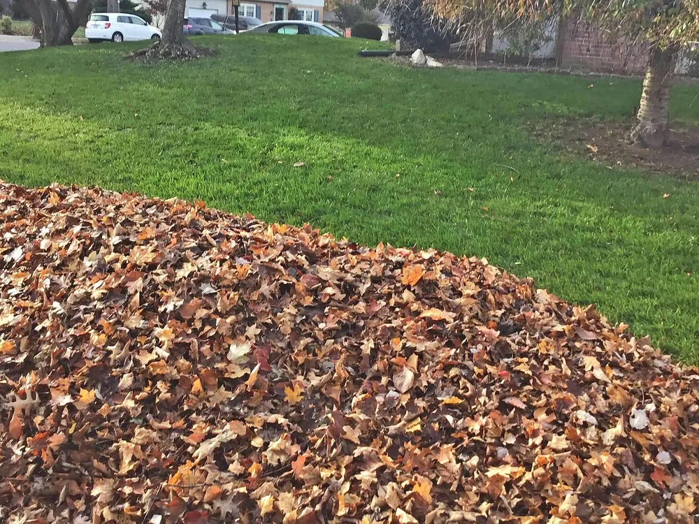 Top-rated outdoor landscaping in Centralia, IL - Hanson's Lawn Care