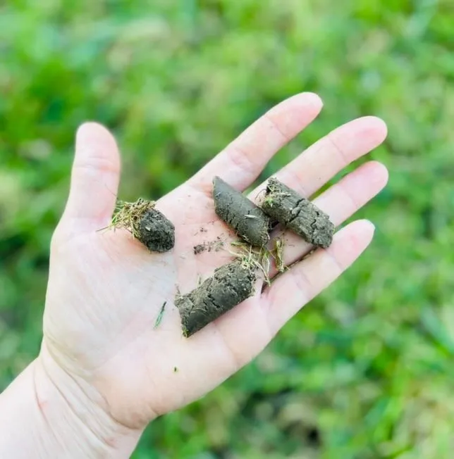 Trusted landscape installation in Centralia, IL by Hanson's Lawn Care