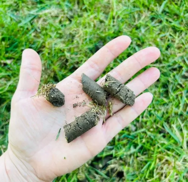 Expert lawn mowing service in Centralia, IL - Hanson's Lawn Care