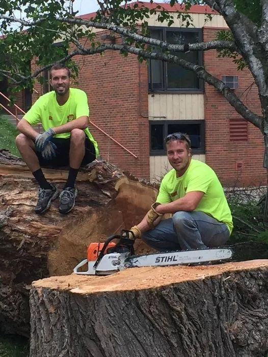 Professional landscape design for residential properties across Elk River, MN - Hansons Tree Service & Landscaping