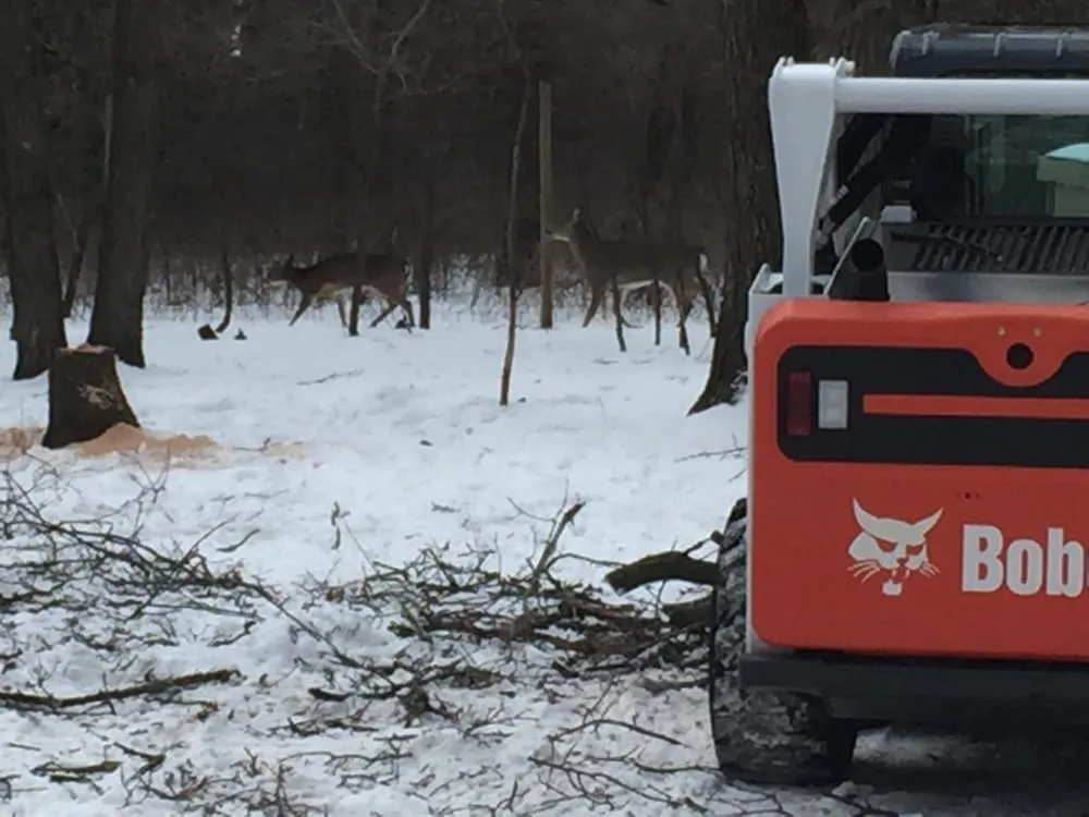 Expert landscaping services near you in Elk River, MN by Hansons Tree Service & Landscaping