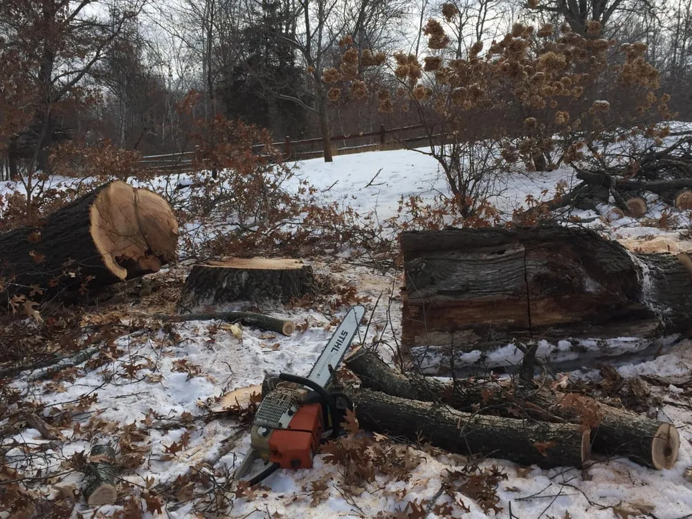 Top-rated landscaping services for beautiful yards in Elk River, MN by Hansons Tree Service & Landscaping