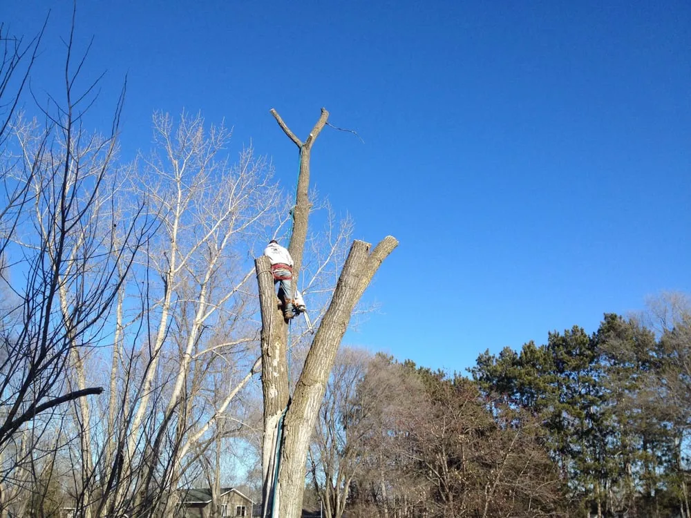 Expert landscaping services near you in Elk River, MN by Hansons Tree Service & Landscaping