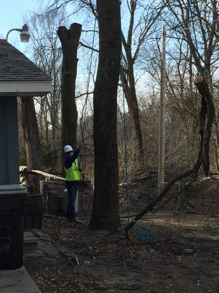 Reliable lawn care service in Elk River, MN - Hansons Tree Service & Landscaping