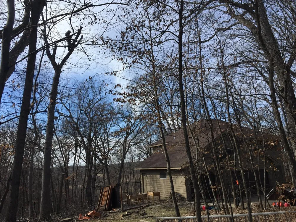 Expert yard cleanup service for outdoor upgrades in Elk River, MN by Hansons Tree Service & Landscaping