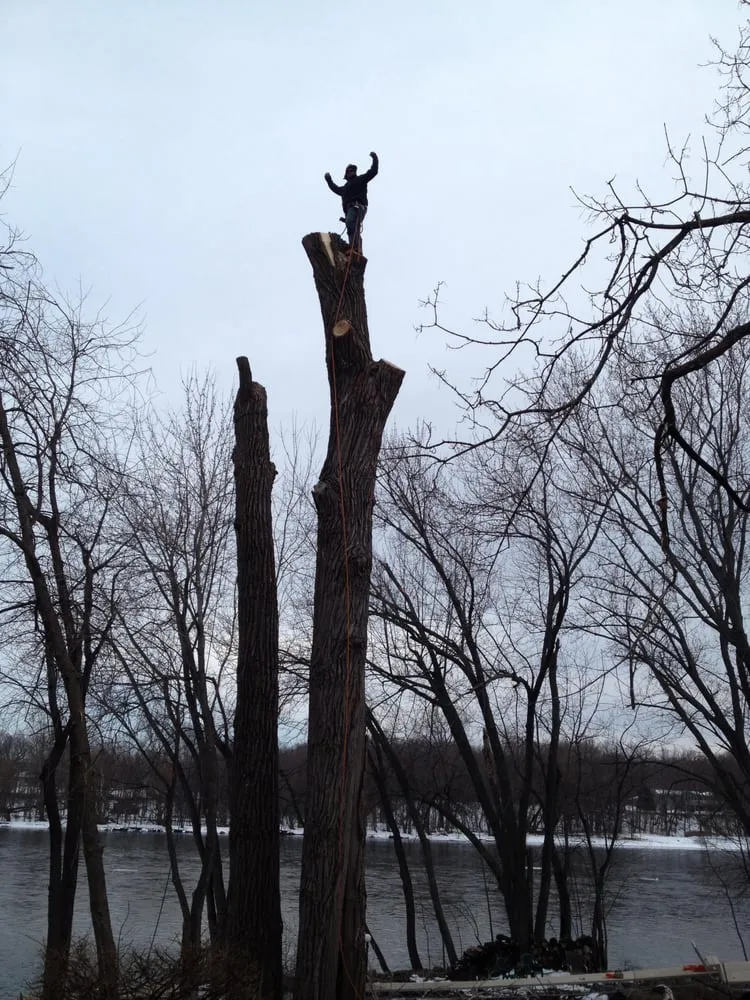 Top-rated lawn mowing service in Elk River, MN - Hansons Tree Service & Landscaping