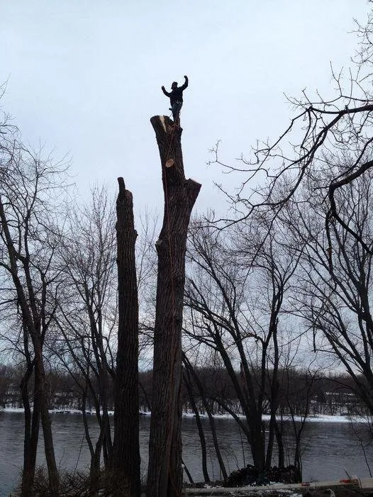 Custom garden landscaping in Elk River, MN - Hansons Tree Service & Landscaping