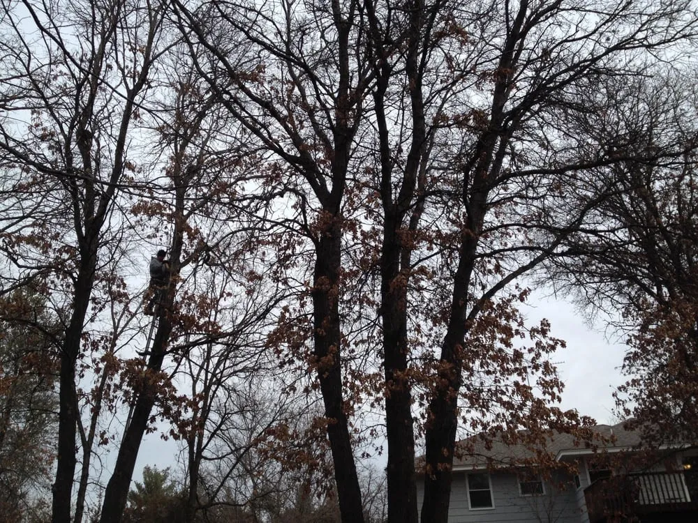 Reliable residential landscaping in Elk River, MN by Hansons Tree Service & Landscaping