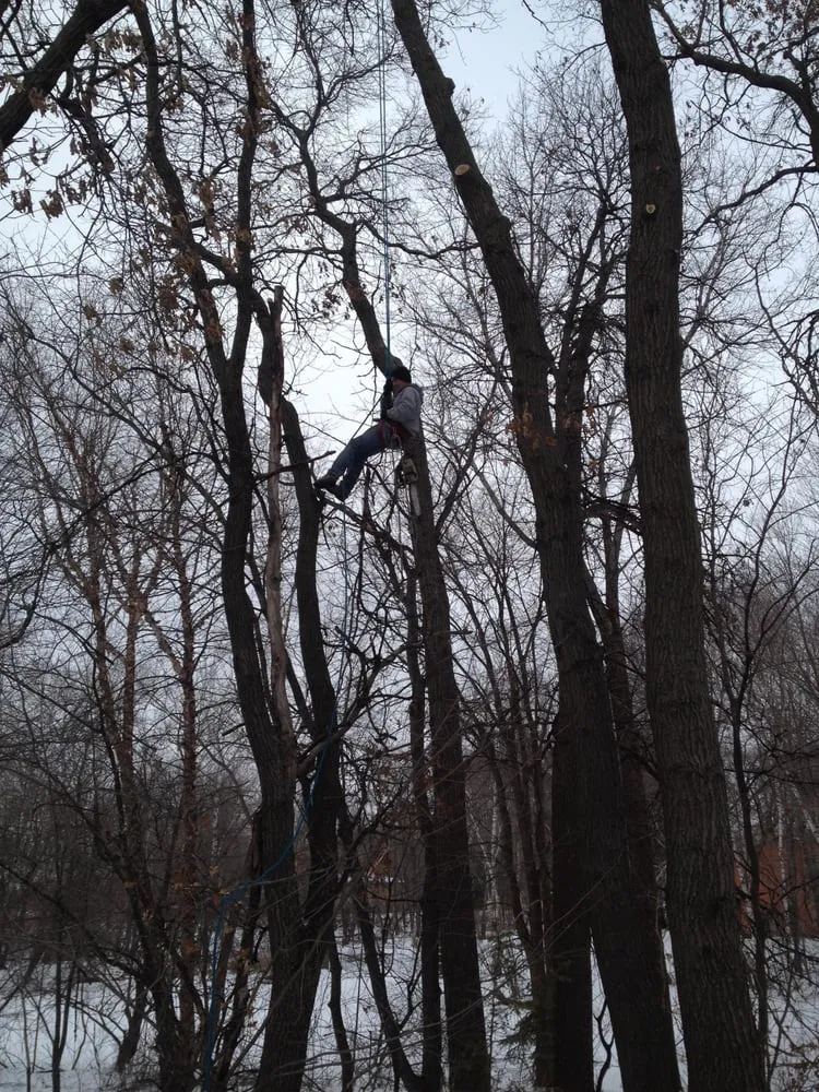 Expert landscape design for year-round maintenance in Elk River, MN by Hansons Tree Service & Landscaping