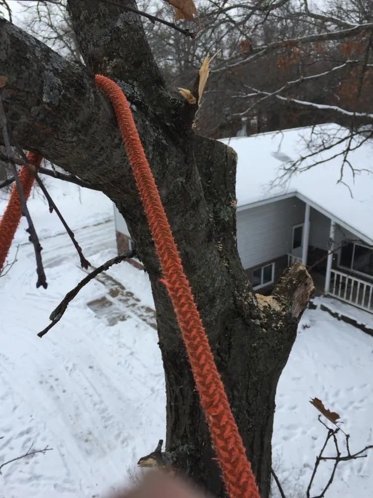 Top-rated yard cleanup service in Elk River, MN - Hansons Tree Service & Landscaping