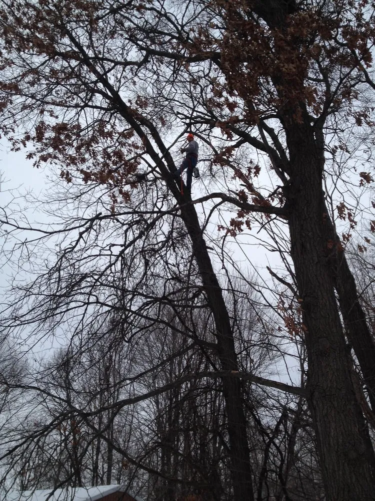 Top-rated yard cleanup service in Elk River, MN - Hansons Tree Service & Landscaping