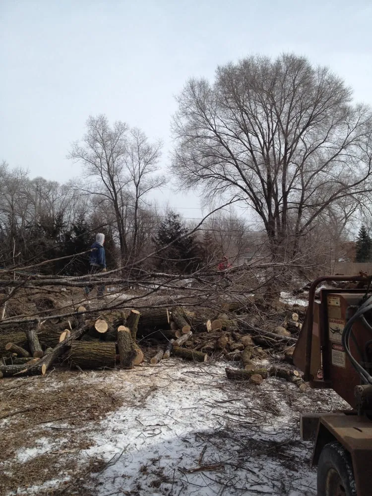 Professional garden landscaping experts serving Elk River, MN - Hansons Tree Service & Landscaping