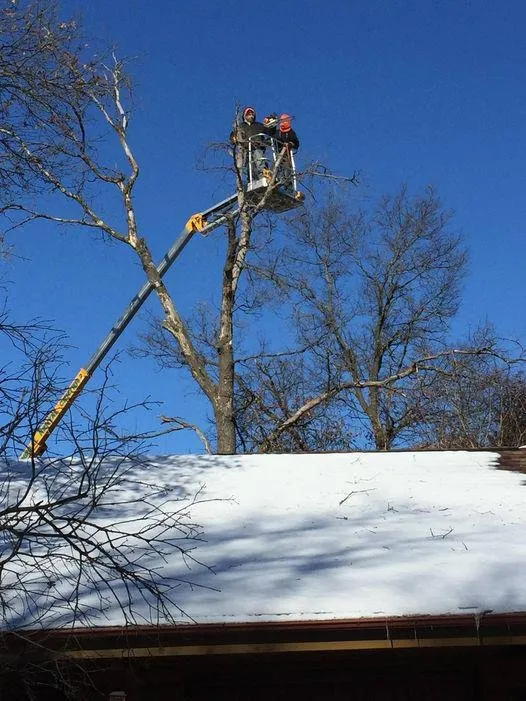 Reliable lawn care service with custom design in Elk River, MN by Hansons Tree Service & Landscaping