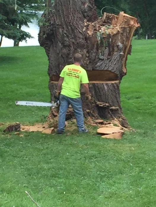 Affordable lawn care service near you across Elk River, MN - Hansons Tree Service & Landscaping