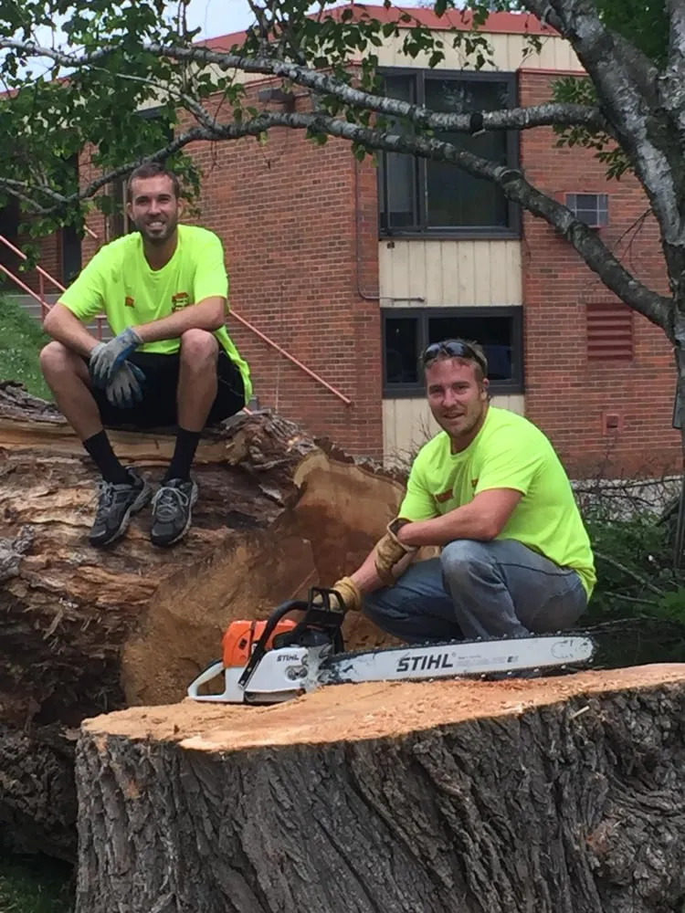 Affordable landscaping services experts serving Elk River, MN - Hansons Tree Service & Landscaping