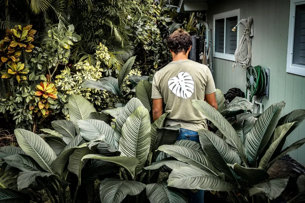 Trusted lawn mowing service near you across Honolulu, HI - Hapa Landscaping