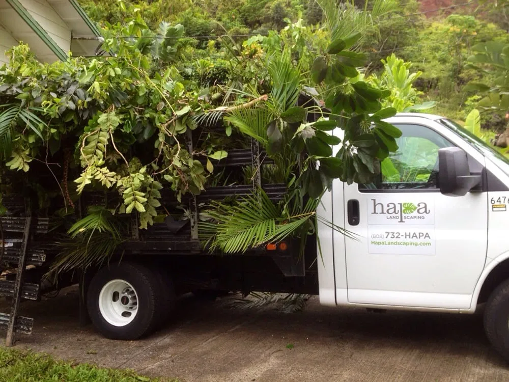 Top-rated yard maintenance experts serving Honolulu, HI - Hapa Landscaping