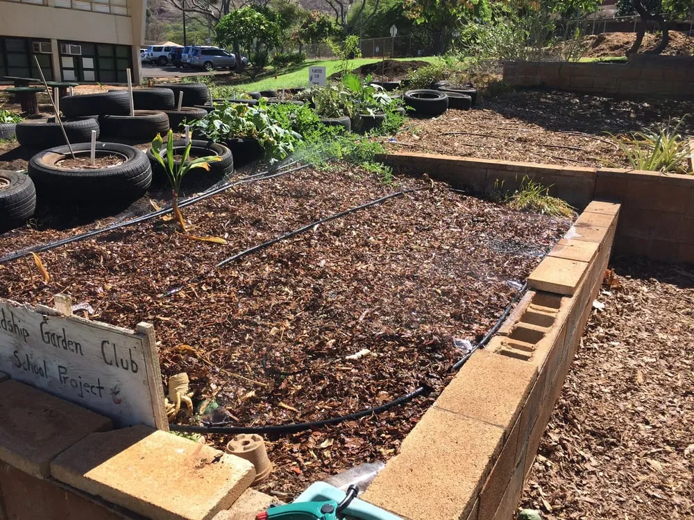 Expert yard maintenance experts serving Honolulu, HI - Hapa Landscaping