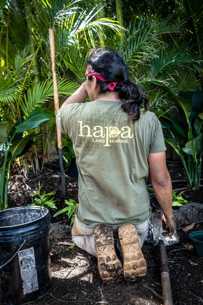 Local landscape installation with custom design across Honolulu, HI - Hapa Landscaping