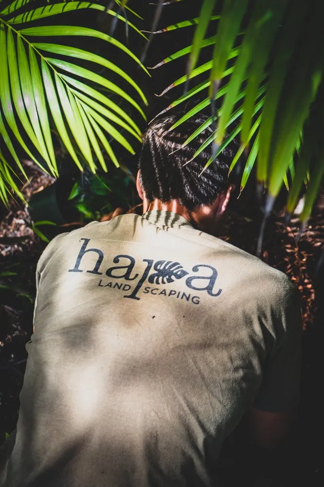 Custom lawn care service in Honolulu, HI by Hapa Landscaping
