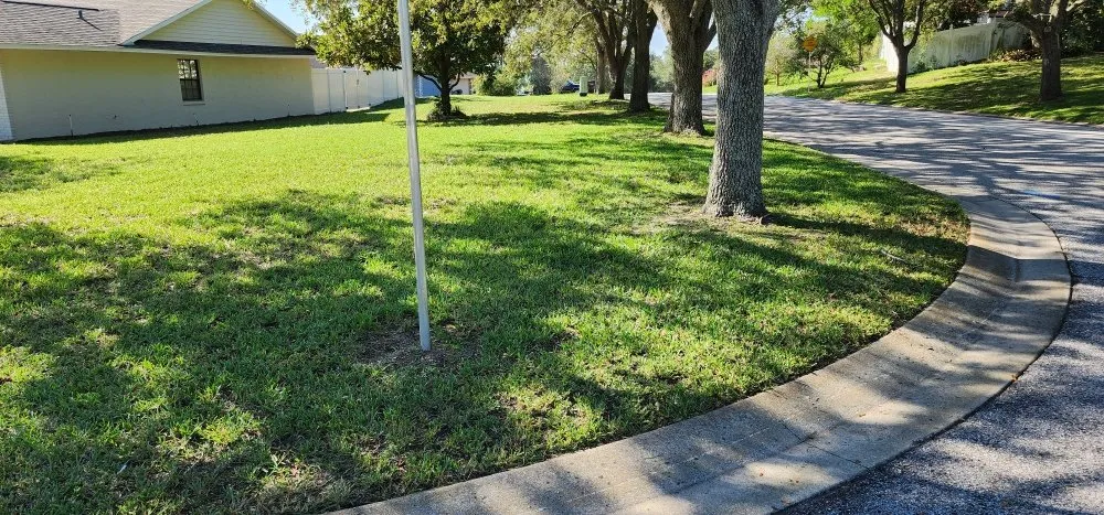 Trusted outdoor landscaping in Davenport, FL - Happy Bladez