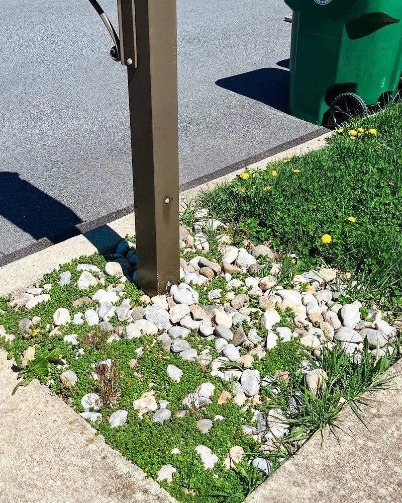 Affordable outdoor landscaping experts serving Easton, PA - Happy Camper Landscaping