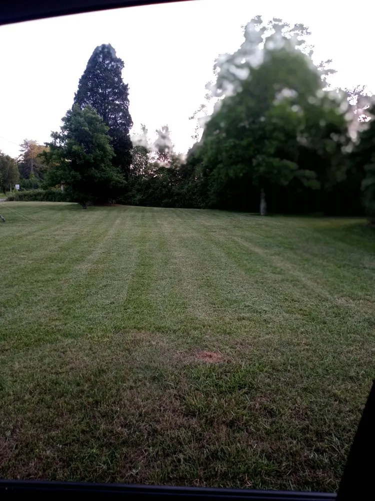 Top-rated lawn care service for homes across Statesville, NC - Happy Camper Lawn Care