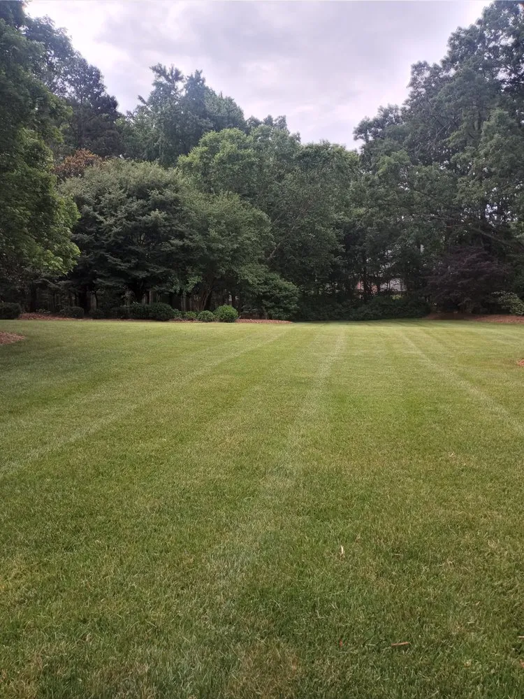 Custom landscaping services in Statesville, NC - Happy Camper Lawn Care